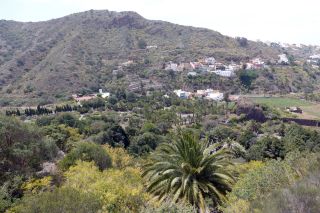 GC-Jardin Botanico Viera 2019-57.JPG